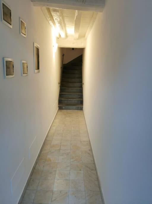 Appartement Il Nido Dell'Artista à Pietrasanta Extérieur photo